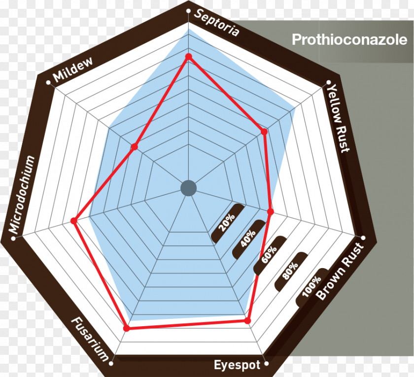 Line Roof Sports Venue Pattern PNG