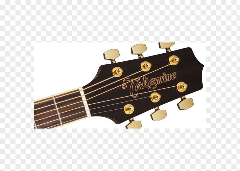 Shipping Bridge Construction Dreadnought Acoustic-electric Guitar Takamine Guitars Acoustic Cutaway PNG