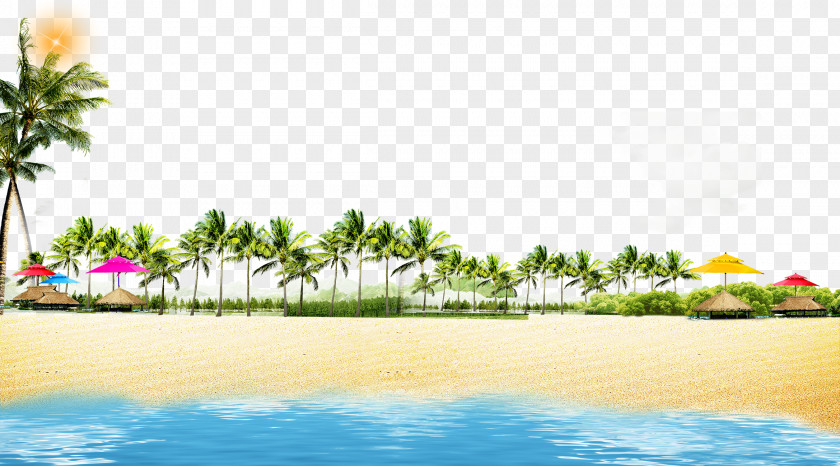 Summer Beach Coconut Grove Play Background Coast Poster PNG