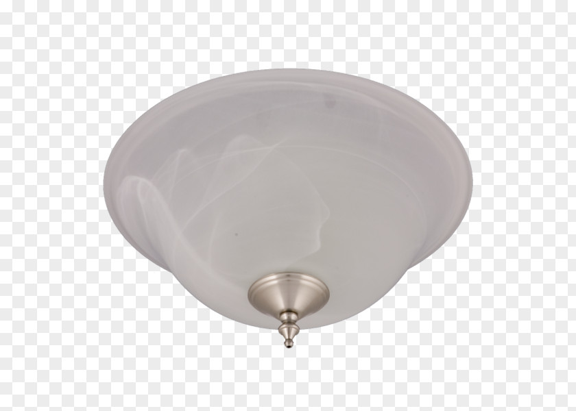 Ceiling Fixture Energy Star 1019 PG PNG