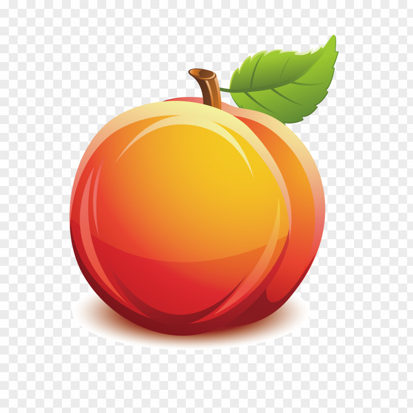 Delicious Peaches Nectarine Fruit Clip Art PNG