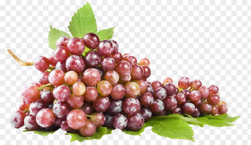 Grape Common Vine Stock Photography Wine PNG