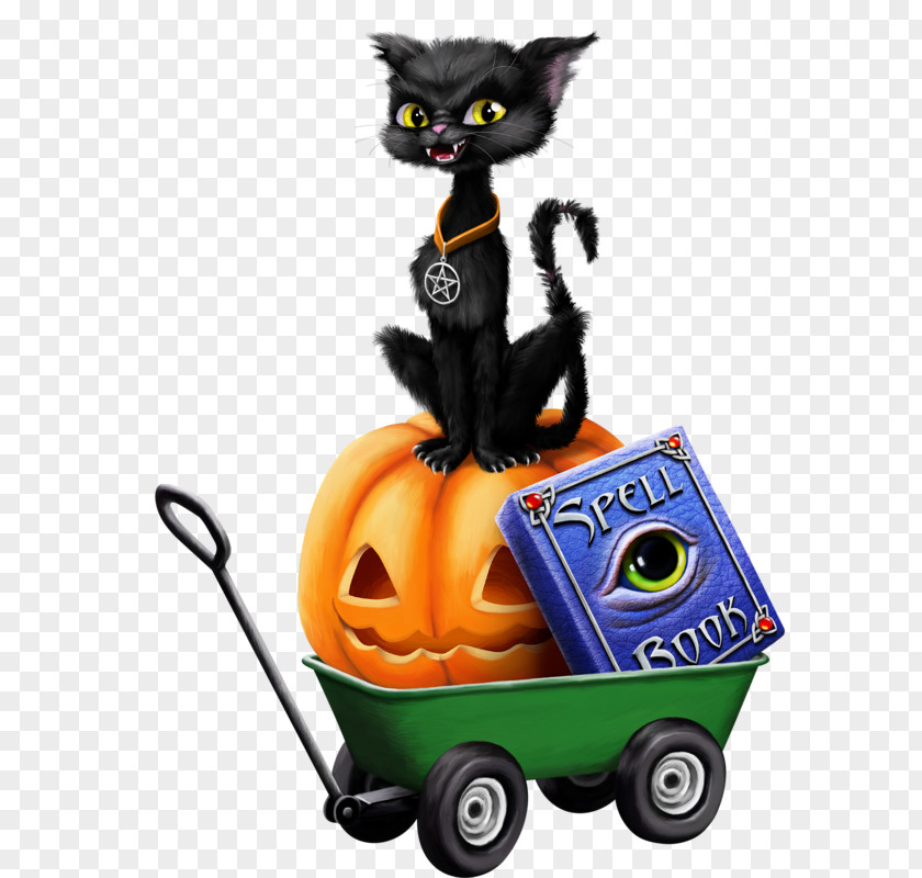 Halloween Pumpkin Black Cat Witch Clip Art PNG