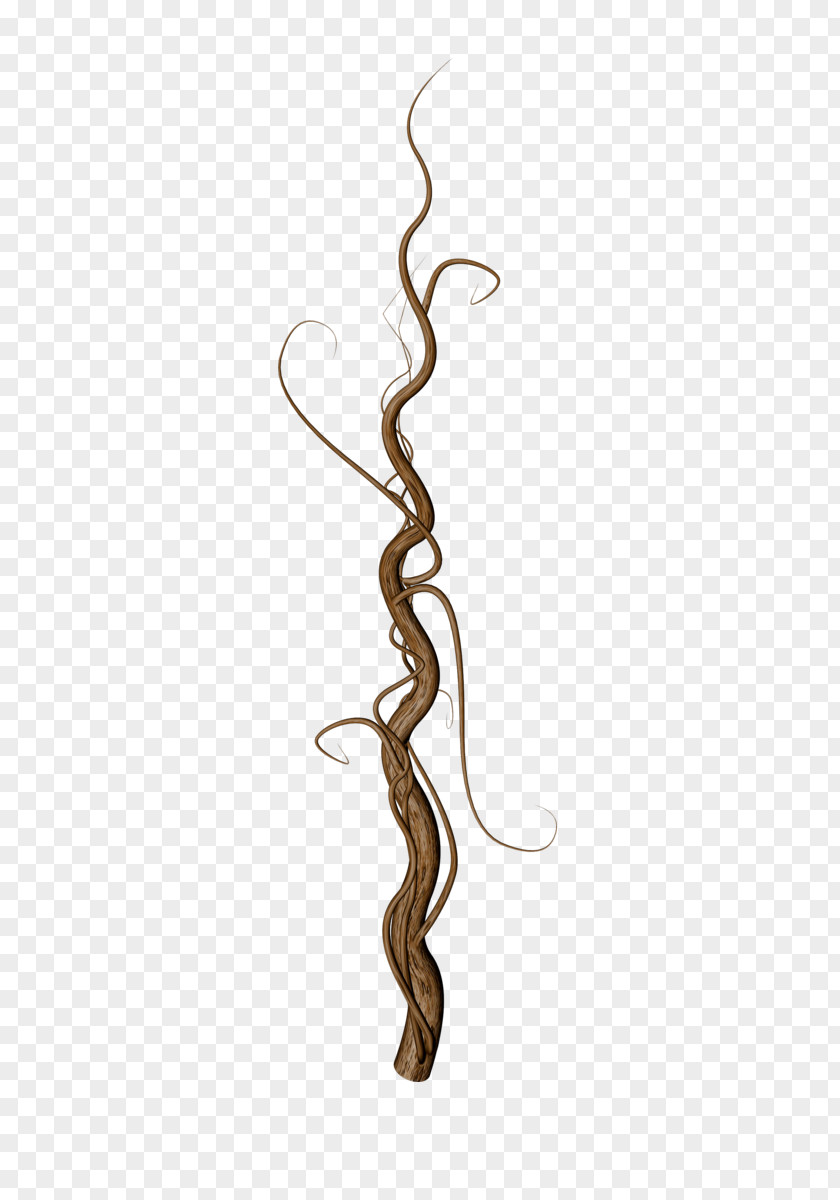 Hand Painted Tree Roots PNG
