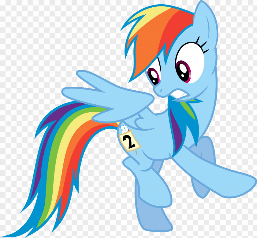 Rainbow Dash Twilight Sparkle Sonic Rainboom YouTube PNG