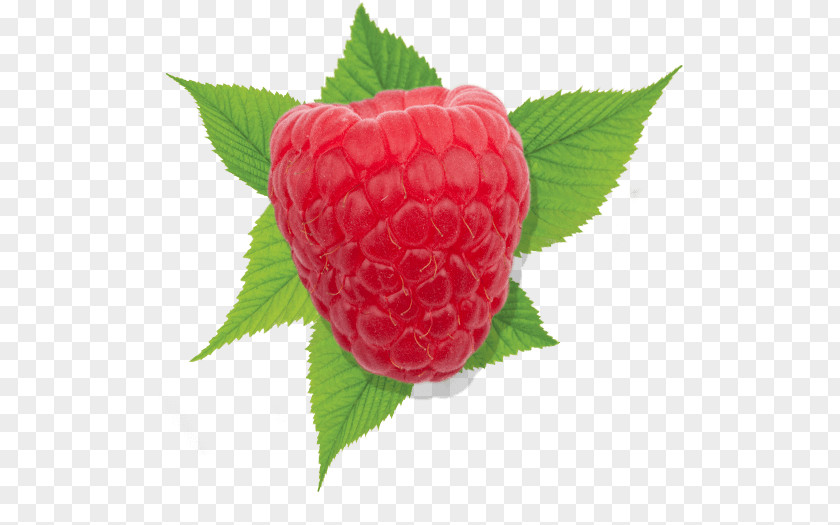 Strawberry Red Raspberry Driscoll's PNG