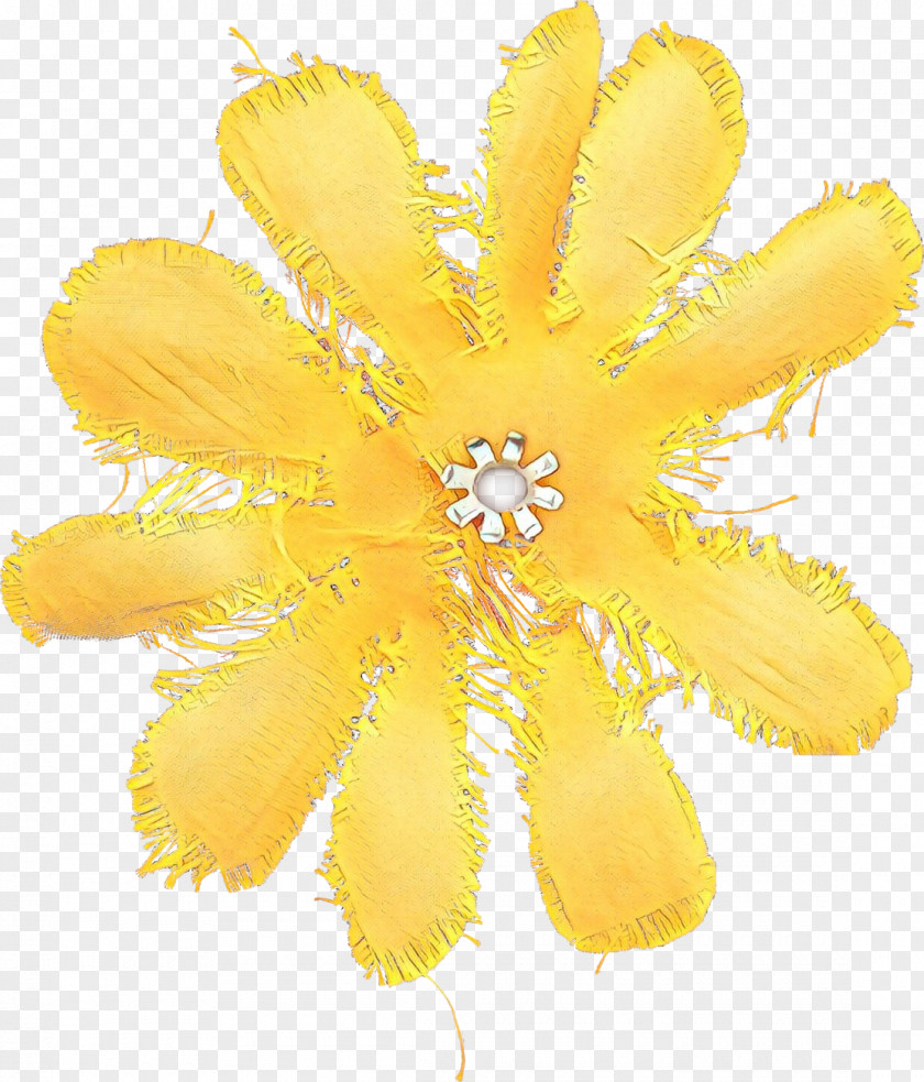 Wildflower Fashion Accessory Yellow Flower Plant Petal PNG