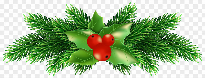Christmas Holly Pine Clip Art Image PNG