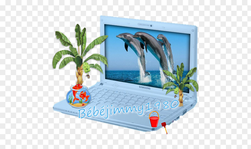 Dolphin Dubai Dolphinarium Port River Oceanic YouTube PNG