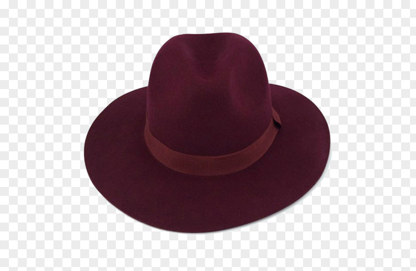 Fedora Product Purple PNG