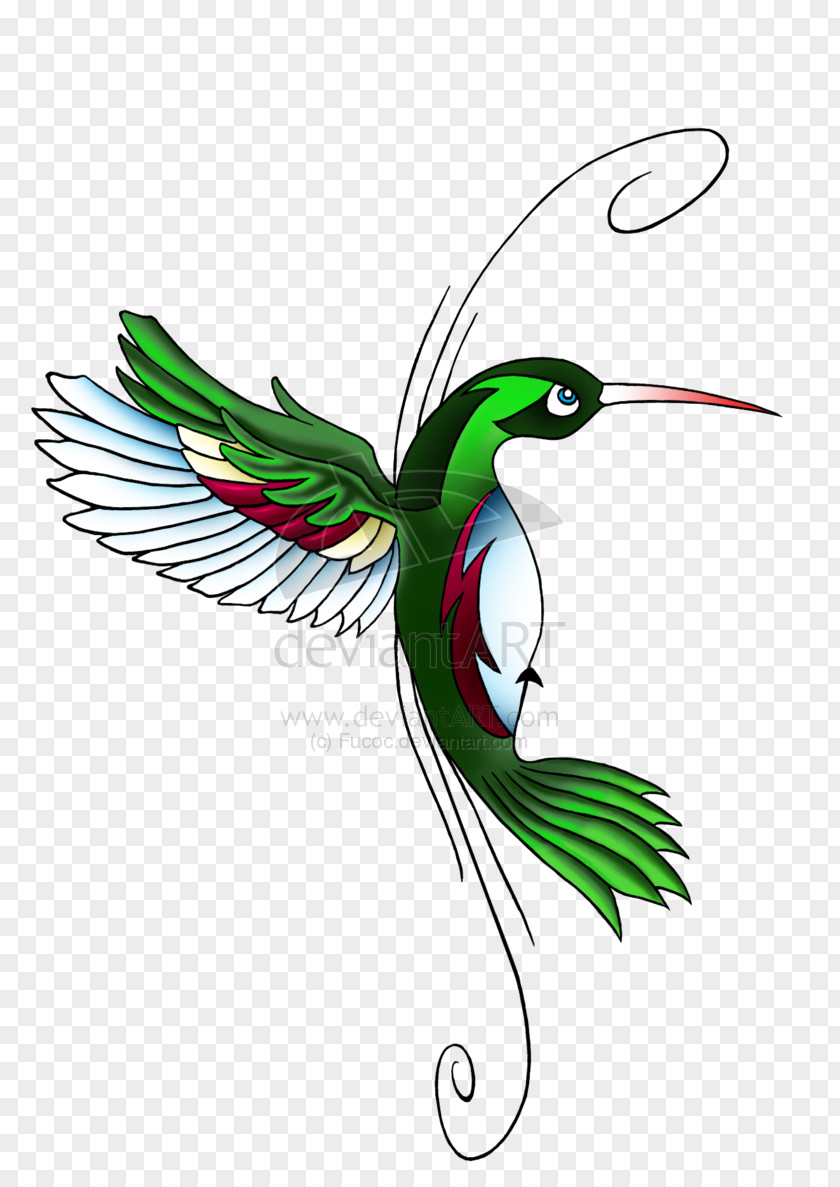 Hummingbird Vector Tattoo Clip Art PNG
