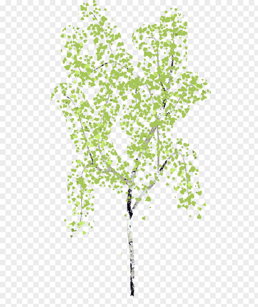 Leaf Twig Plant Stem Line PNG