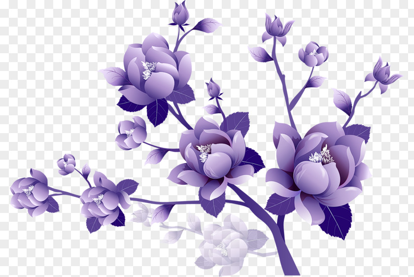 Painted Transparent Large Purple Flower Clipsrt Clip Art PNG