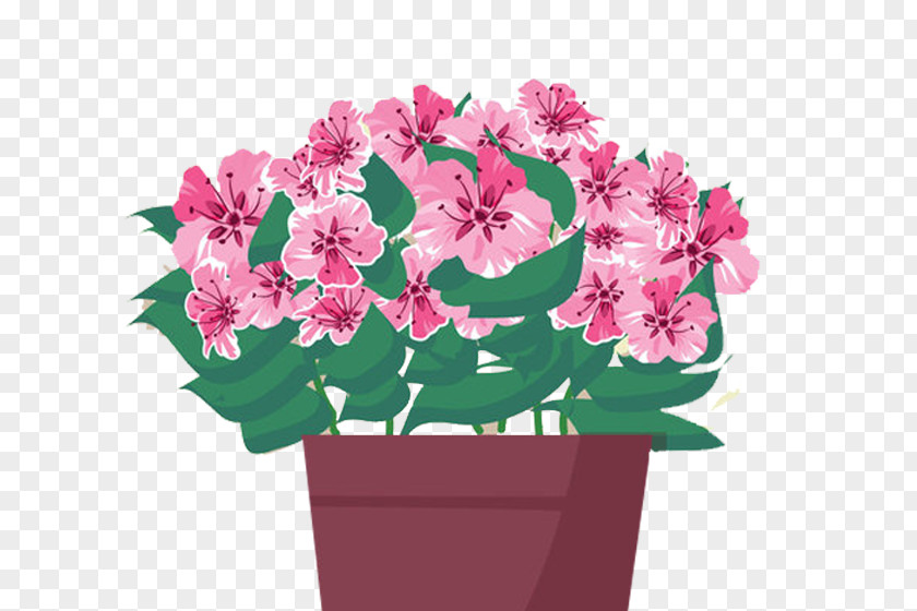 Purple Pink Flower Flowerpot Euclidean Vector Illustration PNG