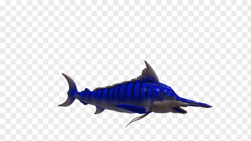 Shark Marine Biology Bony Fishes Mammal Cobalt Blue PNG