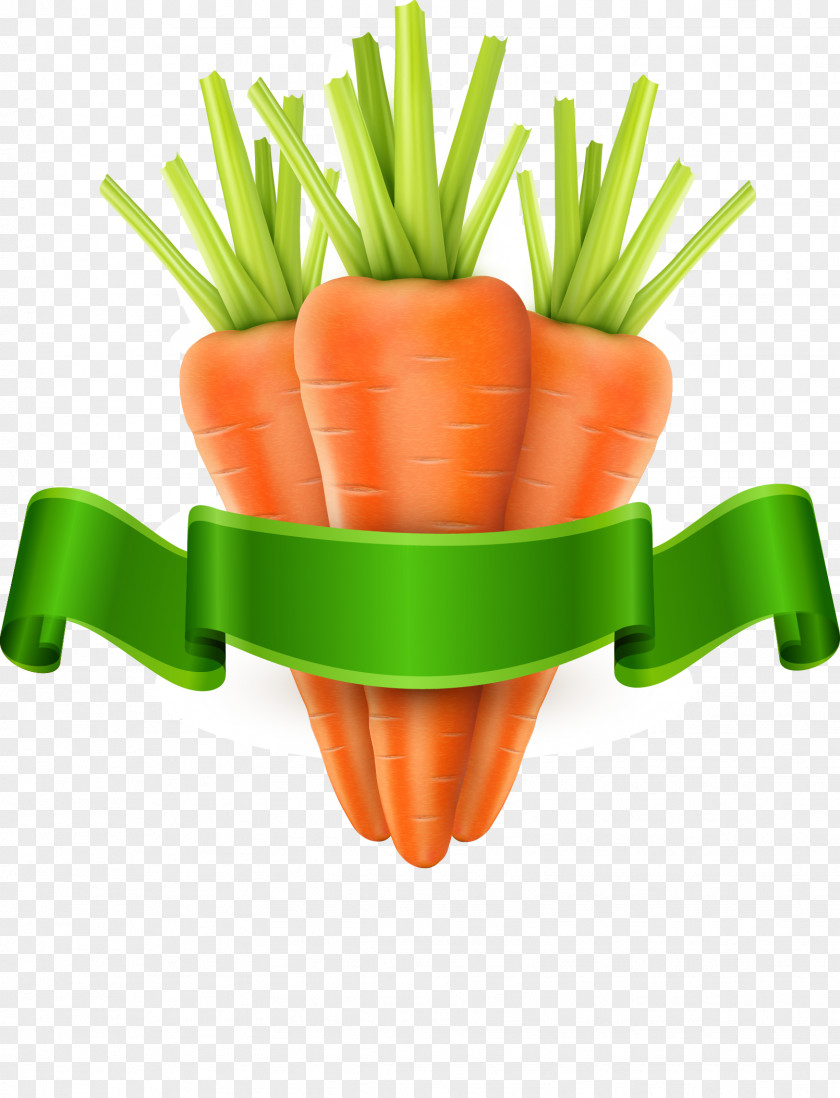 Vector Carrot Vegetable Royalty-free Clip Art PNG