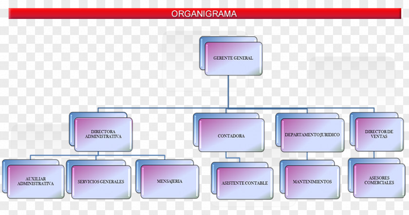 Vision Organizational Chart Real Estate Empresa Business Administration Structure PNG