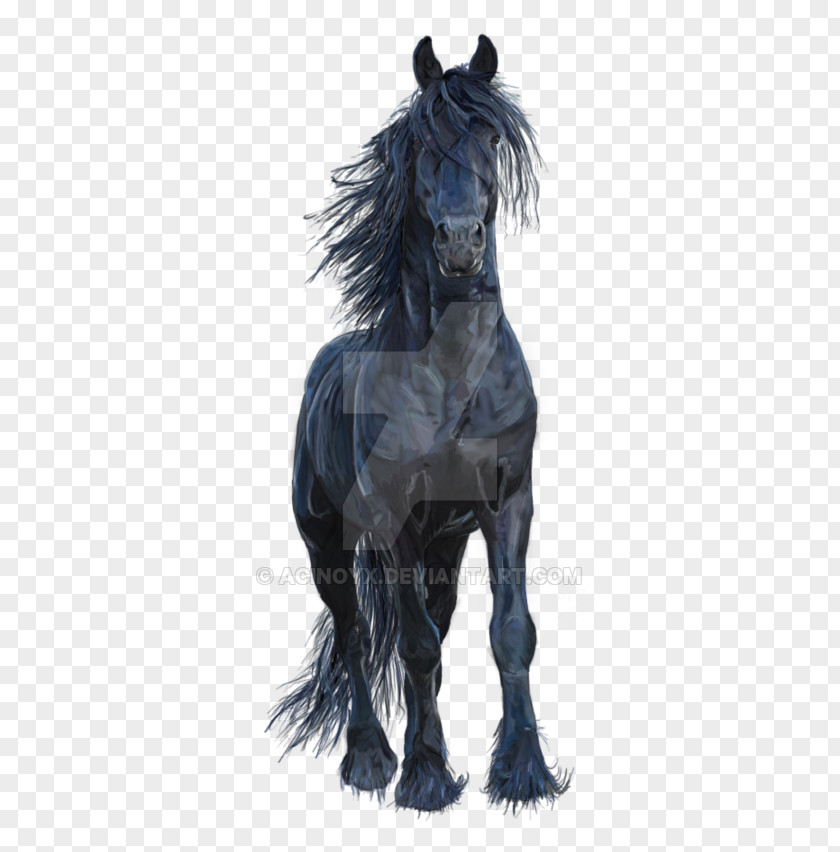 Watercolor Horse Friesian Stallion Mustang Arabian Pony PNG