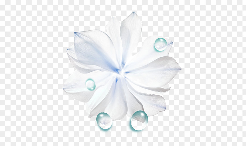 Big Flower Liquid Drops Drop PNG