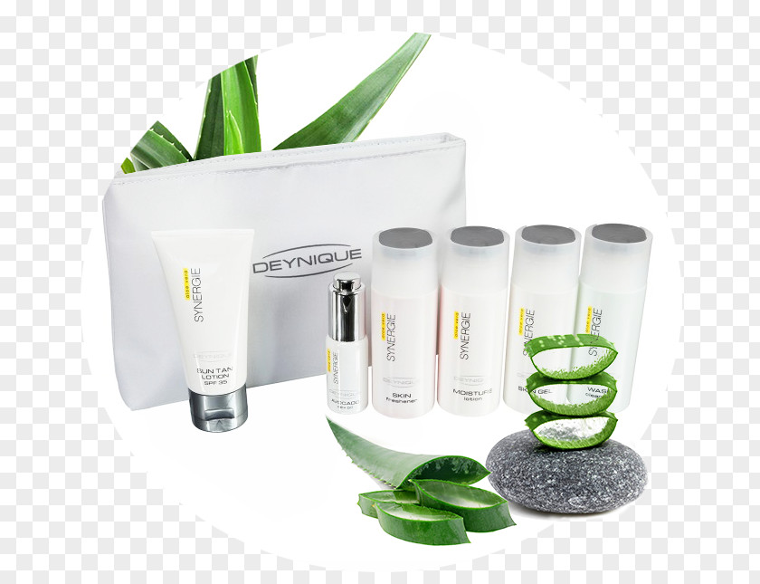 Design Aloe Vera Forever Living Products Flowerpot PNG