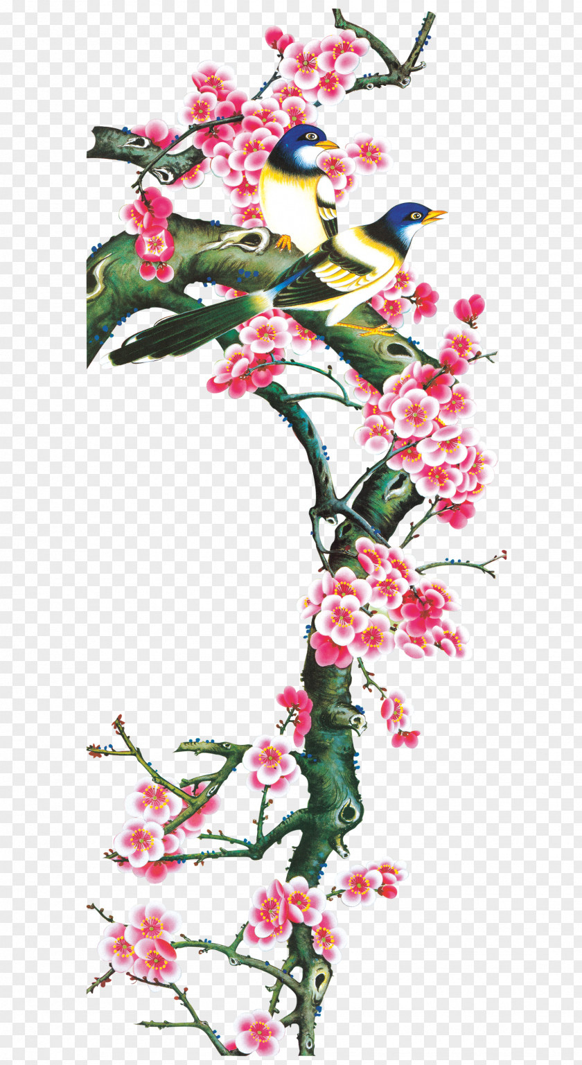 Paintings Plum Magpies PNG
