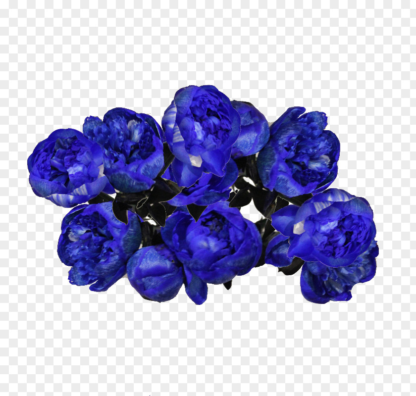Peony Blue Flower Bouquet Dom Pionov Cut Flowers PNG