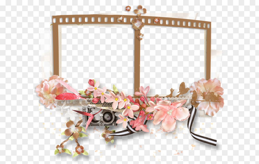 Pink Frame Picture PNG