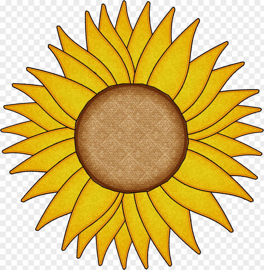 Sunflower Clip Art PNG