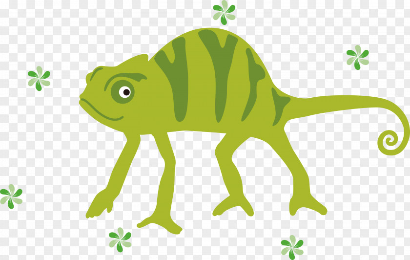 Chameleon PNG