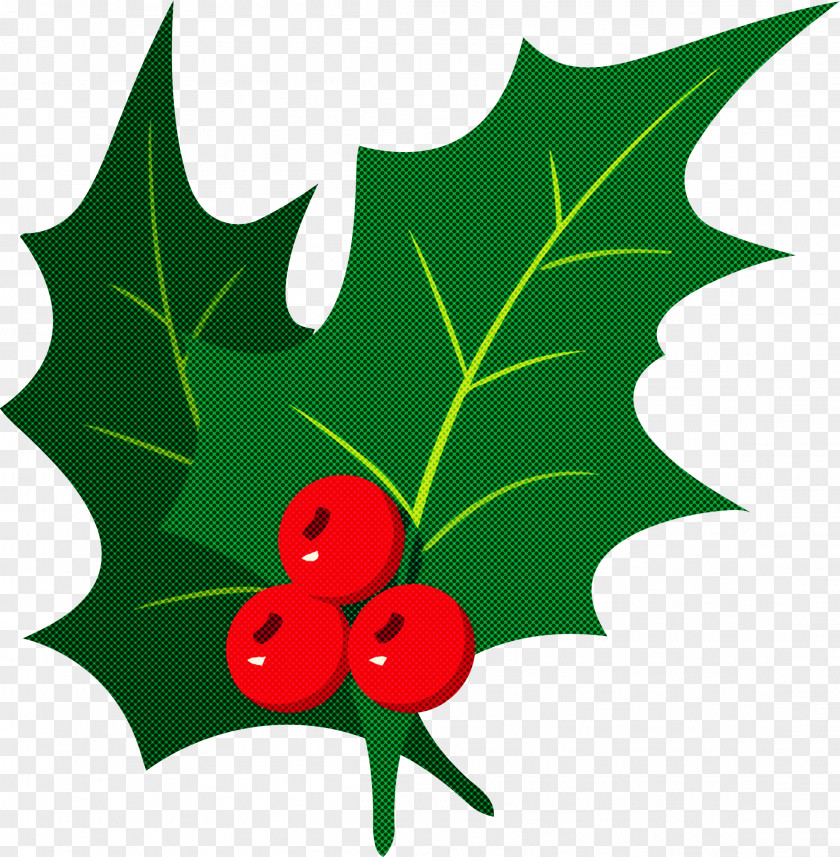 Christmas Ornament Merry Decoration PNG