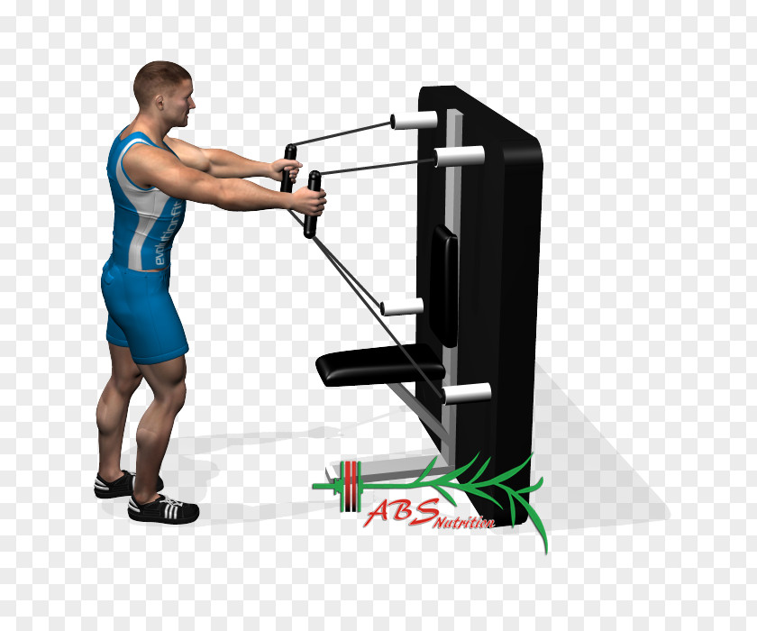 Disturbance Of Flies While Standing Cable Machine Pulley Exercise PNG
