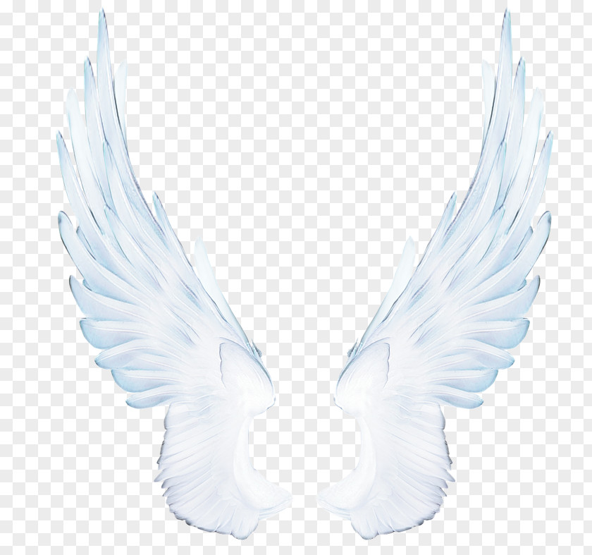 Fictional Character Feather Angel Cartoon PNG