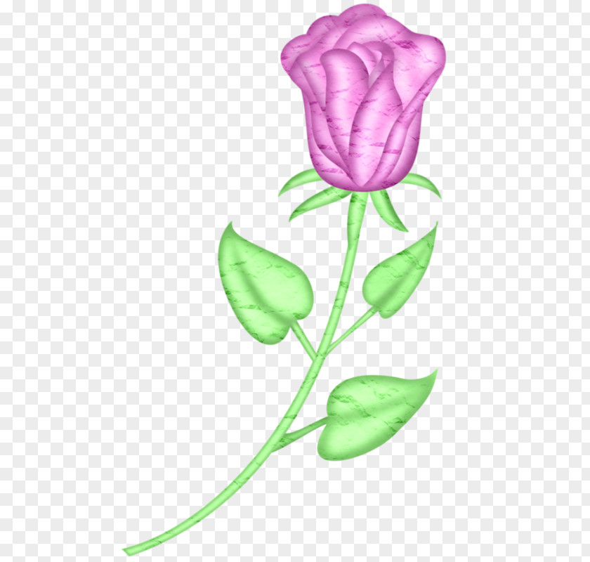 Hand-painted Roses Garden Beach Rose Tulip Pink PNG