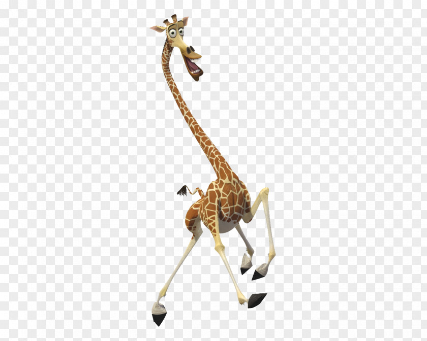 Neck Melman Gloria Alex Madagascar DreamWorks Animation PNG