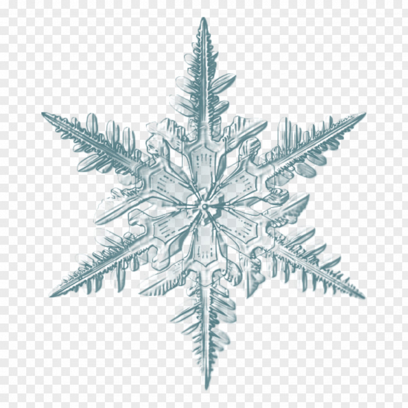 Snowflake Image Microscope Photograph PNG