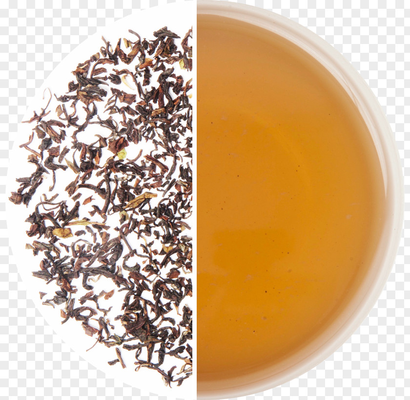 Tea Darjeeling Hōjicha Assam Nilgiri Oolong PNG