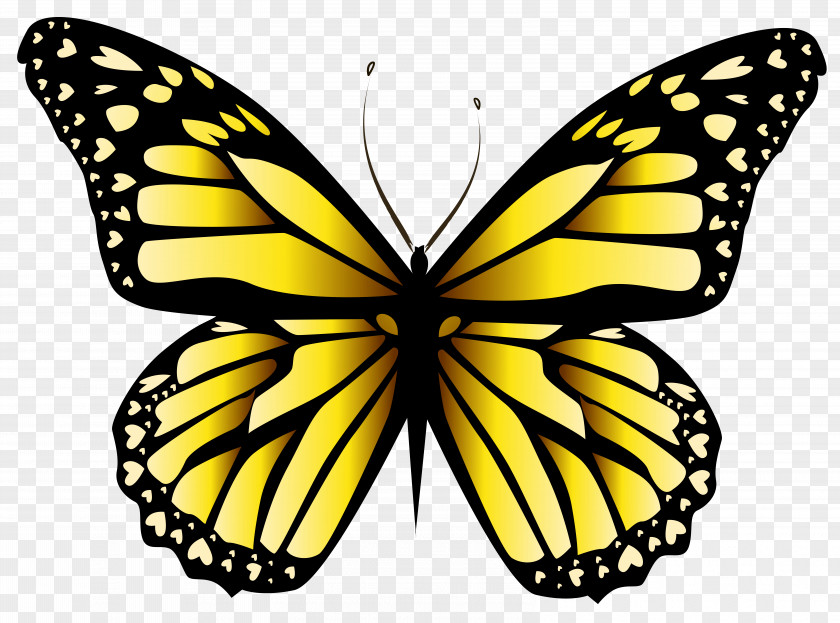 Yellow Butterfly Clipar Image Orange Clip Art PNG