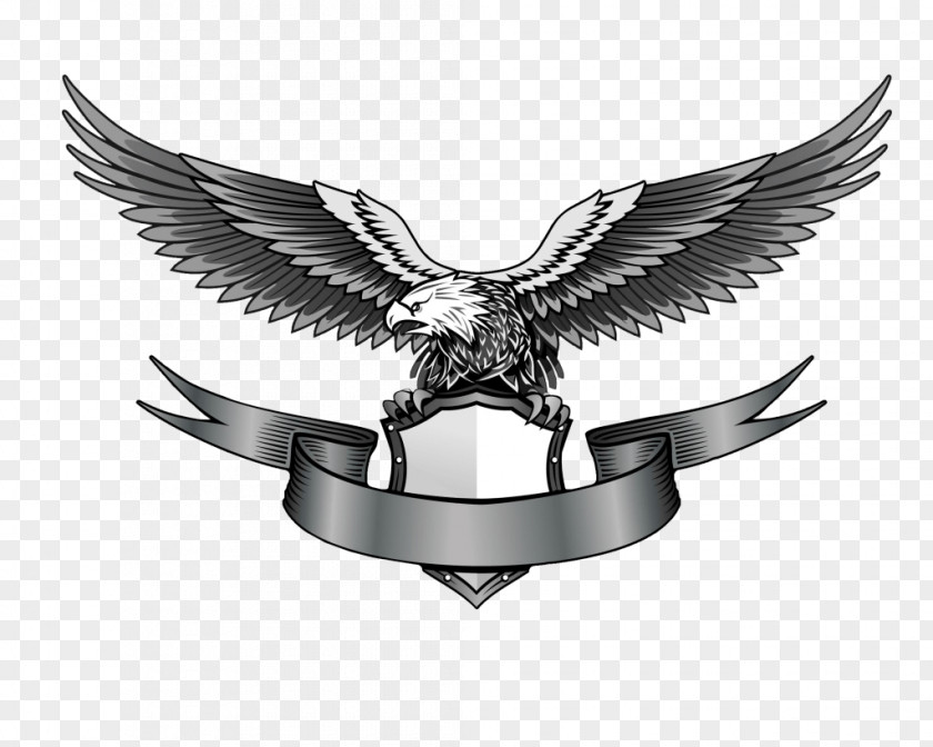 Eagle Logo Image Download Clip Art PNG