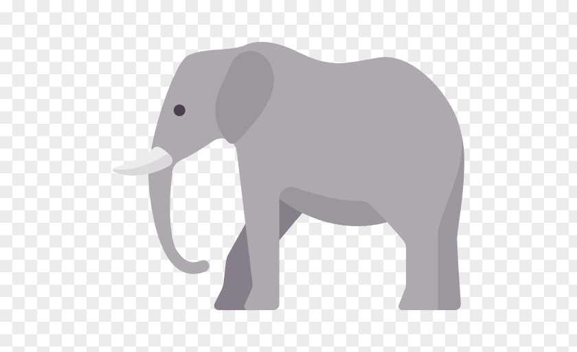 Elefante Vector Indian Elephant African Elephantidae PNG