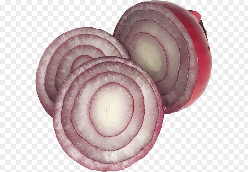 Onion Red Garlic Clip Art PNG