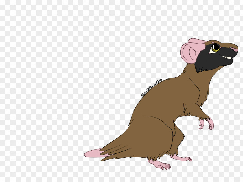 Rat & Mouse Ferret Rodent Carnivora Mammal PNG