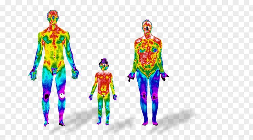 Thermography Gynaecology Infrared Medicine Andrology PNG