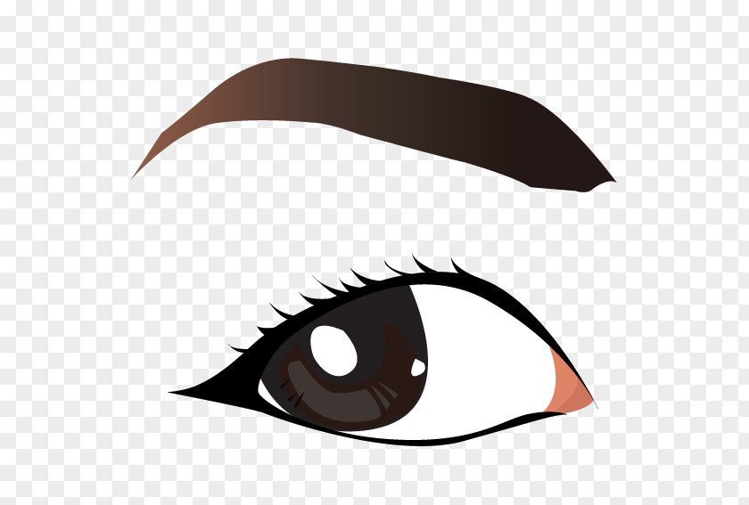 Vector Eye Brows Eyebrow Clip Art PNG