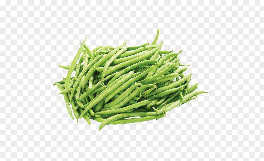 Vegetable Green Bean Pea PNG