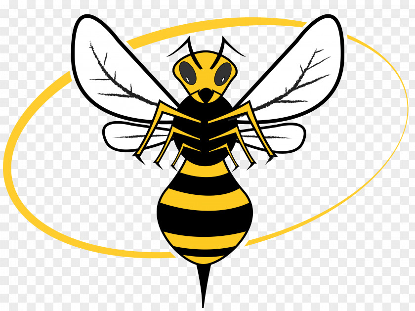 Bee Western Honey Hornet Clip Art PNG