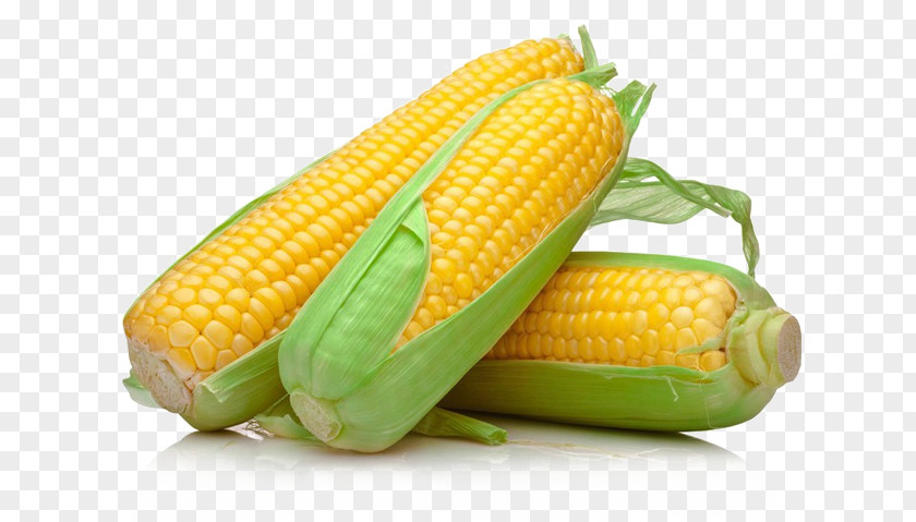 Corn On The Cob Sweet Pastel De Choclo Grain PNG