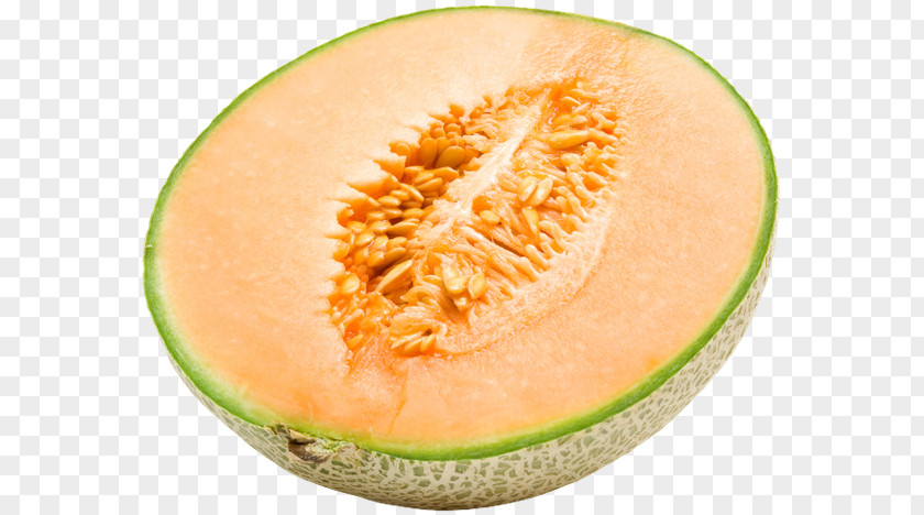 Melon Cantaloupe Honeydew Galia Hami PNG
