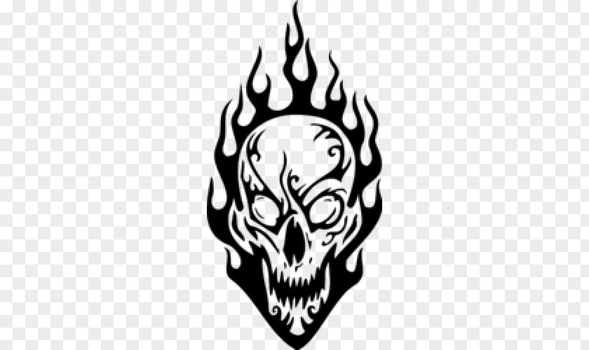 Skull Drawing Flame Fire PNG