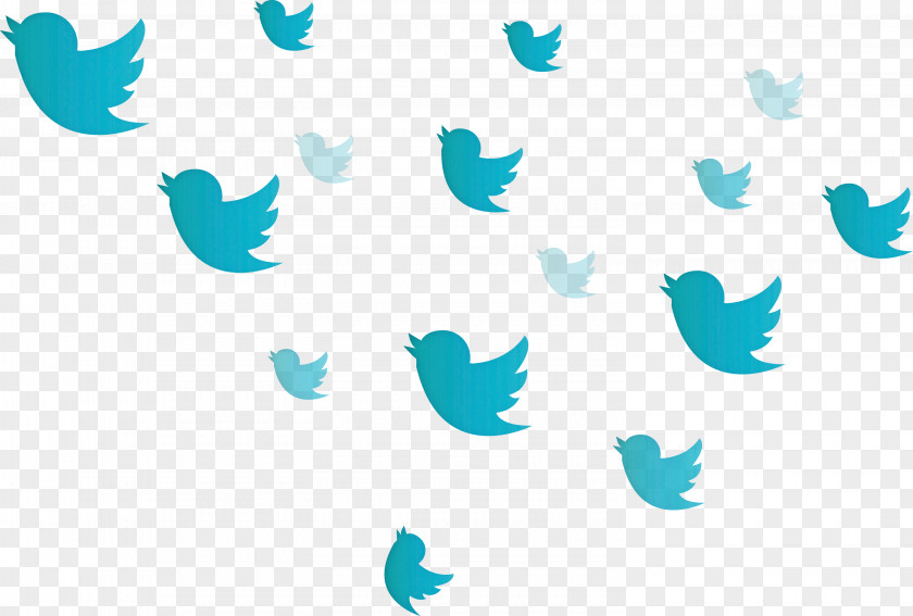Twitter Flying Birds PNG
