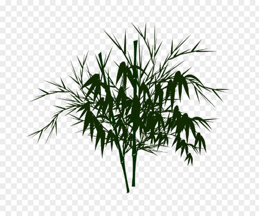 Bamboo Watercolor Painting PNG